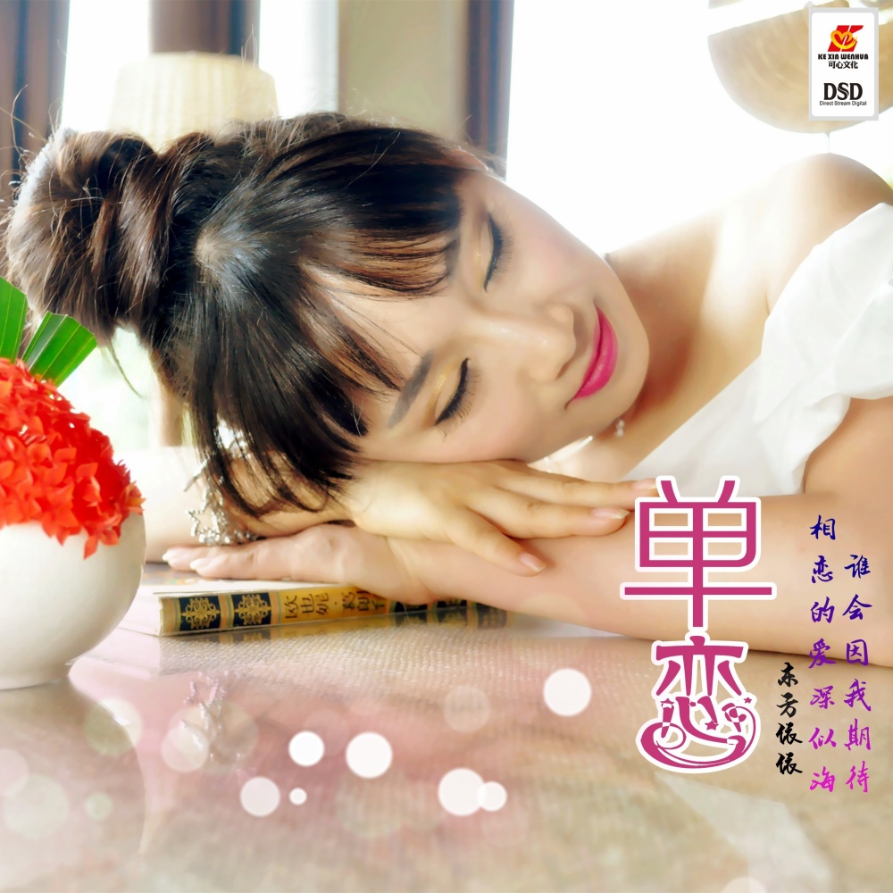 上辈子欠了你的情 (伴奏)