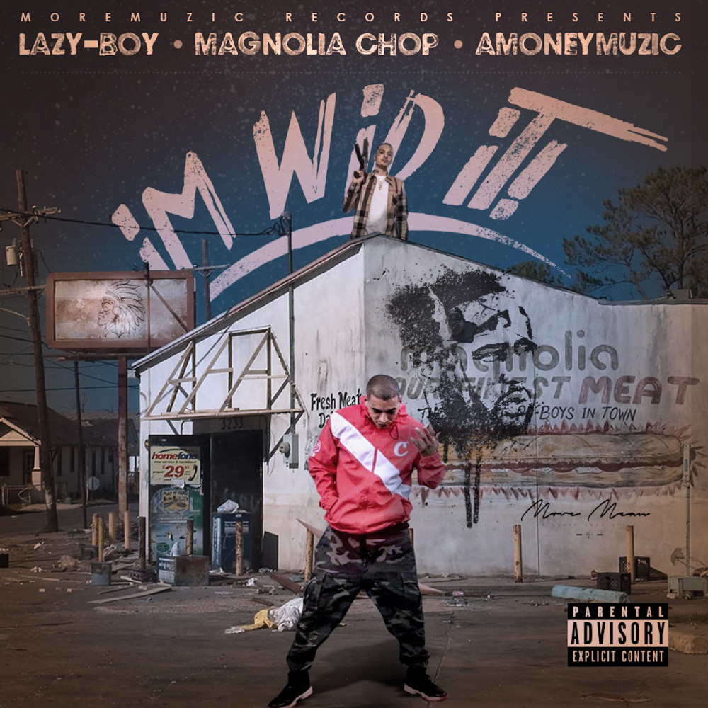 I'm Wid It (Explicit)