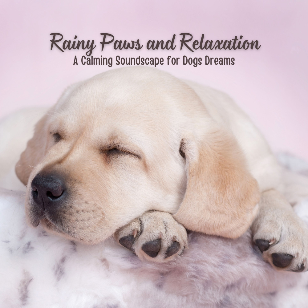 Serene Rain for Pets