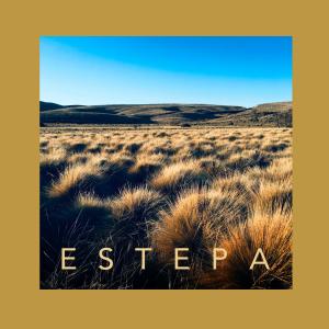 Album Estepa oleh Octopus