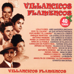 ดาวน์โหลดและฟังเพลง Despertad, Rudos Pastores พร้อมเนื้อเพลงจาก Pericon De Cadiz