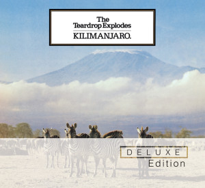 ดาวน์โหลดและฟังเพลง When I Dream พร้อมเนื้อเพลงจาก The Teardrop Explodes
