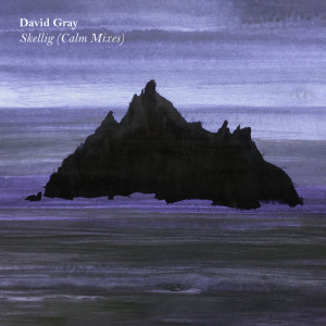 Album Skellig (Calm Mixes) from David Gray
