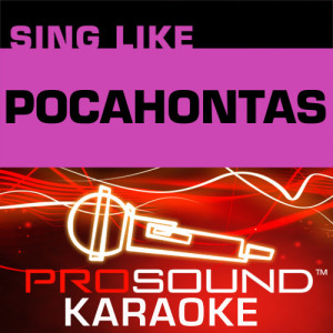 收聽ProSound Karaoke Band的Colors Of The Wind (Karaoke Lead Vocal Demo) [In the Style of Vanessa Williams (Pocahontas)]歌詞歌曲