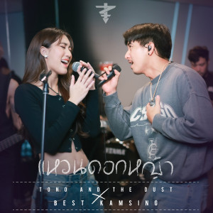 ดาวน์โหลดและฟังเพลง แหวนดอกหญ้า พร้อมเนื้อเพลงจาก TONO & The DUST