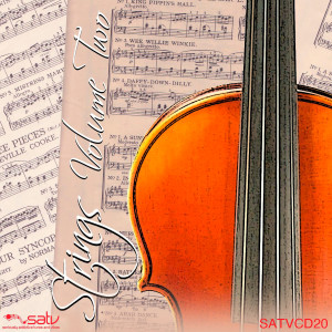Various Artists的專輯Strings, Vol. Two
