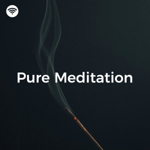Album Pure Meditation from Naturally Recurring