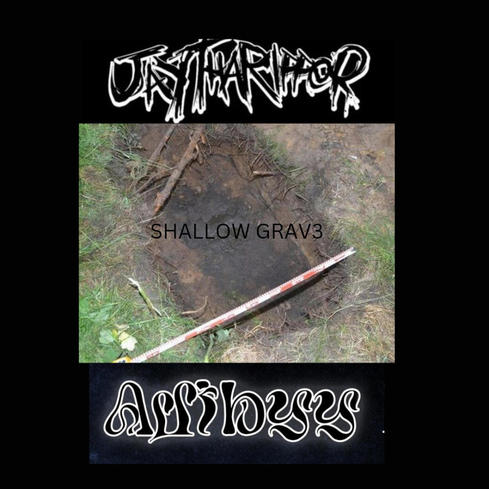 Shallow Grave (feat. JayThaRipper) (Explicit)