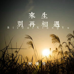 阿國哥的專輯來生別再相遇 (粵語版)