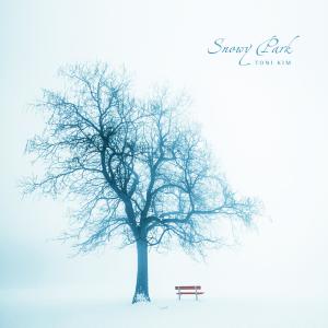 Album Snowy park from Toni Kim
