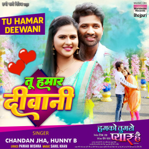 Listen to Tu Hamar Deewani (From "Humko Tumse Pyar Hai") song with lyrics from Chandan Jha