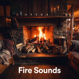 Fire Sounds (Log Fire)