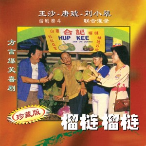 收聽王沙的調查戶口歌詞歌曲