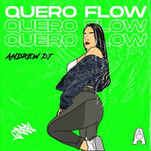 Andrew DJ的專輯Quero Flow