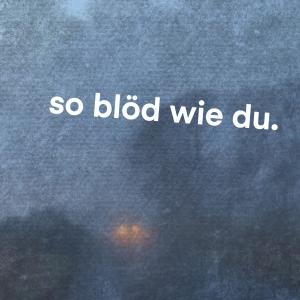 收聽ingmar.的so blöd wie du (feat. Luci van Org, Finnegan & Victor)歌詞歌曲