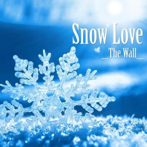 Album Snow Love from The Wall