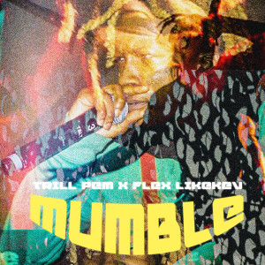 ดาวน์โหลดและฟังเพลง Mumble (Explicit) พร้อมเนื้อเพลงจาก Trill Pem