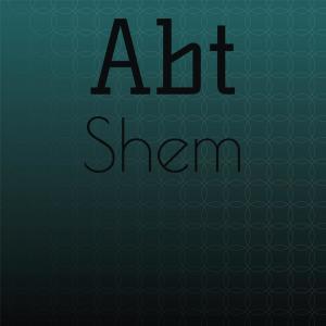 Various的专辑Abt Shem