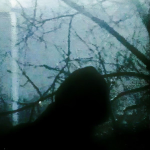 Album Psycho 2 from 