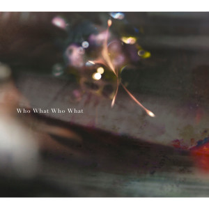 收聽凜冽時雨的Who What Who What歌詞歌曲