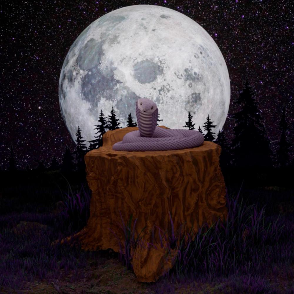 Noches