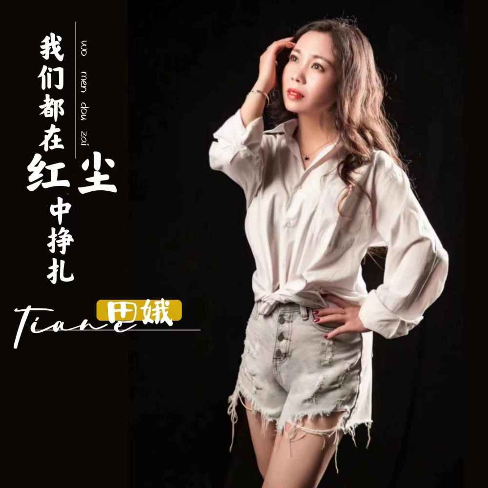 我们都在红尘中挣扎 (DJ默涵版)