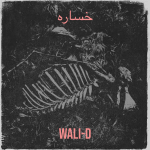 Listen to خساره song with lyrics from Wali-D