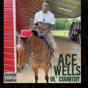 Ace Wells的專輯Ol' Country