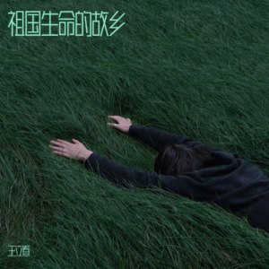 收听王立春的祖国生命的故乡 (完整版)歌词歌曲