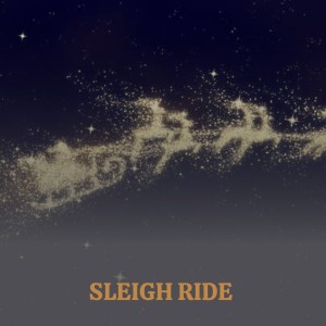 Album Sleigh Ride oleh Various