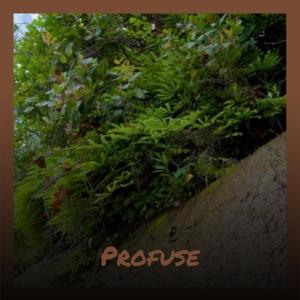 Listen to Preserve Yon song with lyrics from Fery Whee