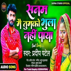 Listen to Sanam Mai Tujhko Nhi Bhula Paya song with lyrics from Pradeep Patel