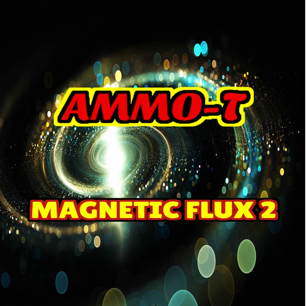 Magnetic Flux 2