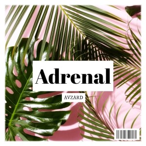 Listen to Adrenal song with lyrics from Avzard