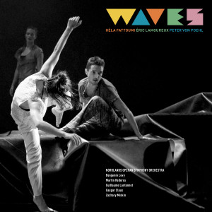 Listen to Waves song with lyrics from Peter Von Poehl