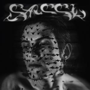 收聽Juck的SASSI歌詞歌曲