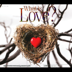 收聽เบิร์ด ธงไชย的หมอกหรือควัน歌詞歌曲