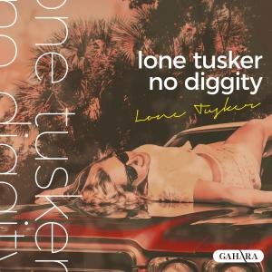 Album No Diggity from Lone Tusker