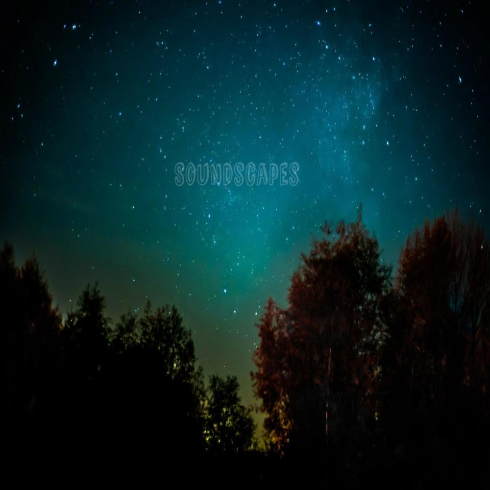 Forest Song 