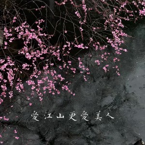 Dengarkan lagu 爱江山更爱美人（人生短短几个秋啊） nyanyian 李羽彤 dengan lirik