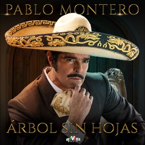 收聽Pablo Montero的Árbol Sin Hojas歌詞歌曲