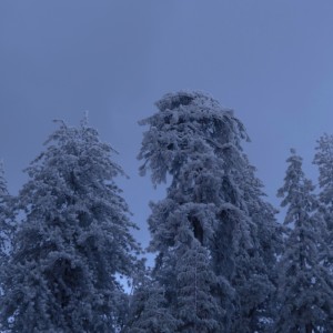收聽Crywolf的12.25.16 [untitled christmas song]歌詞歌曲