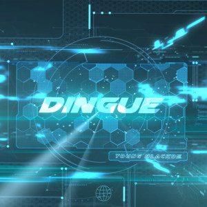 Album Dingue from 