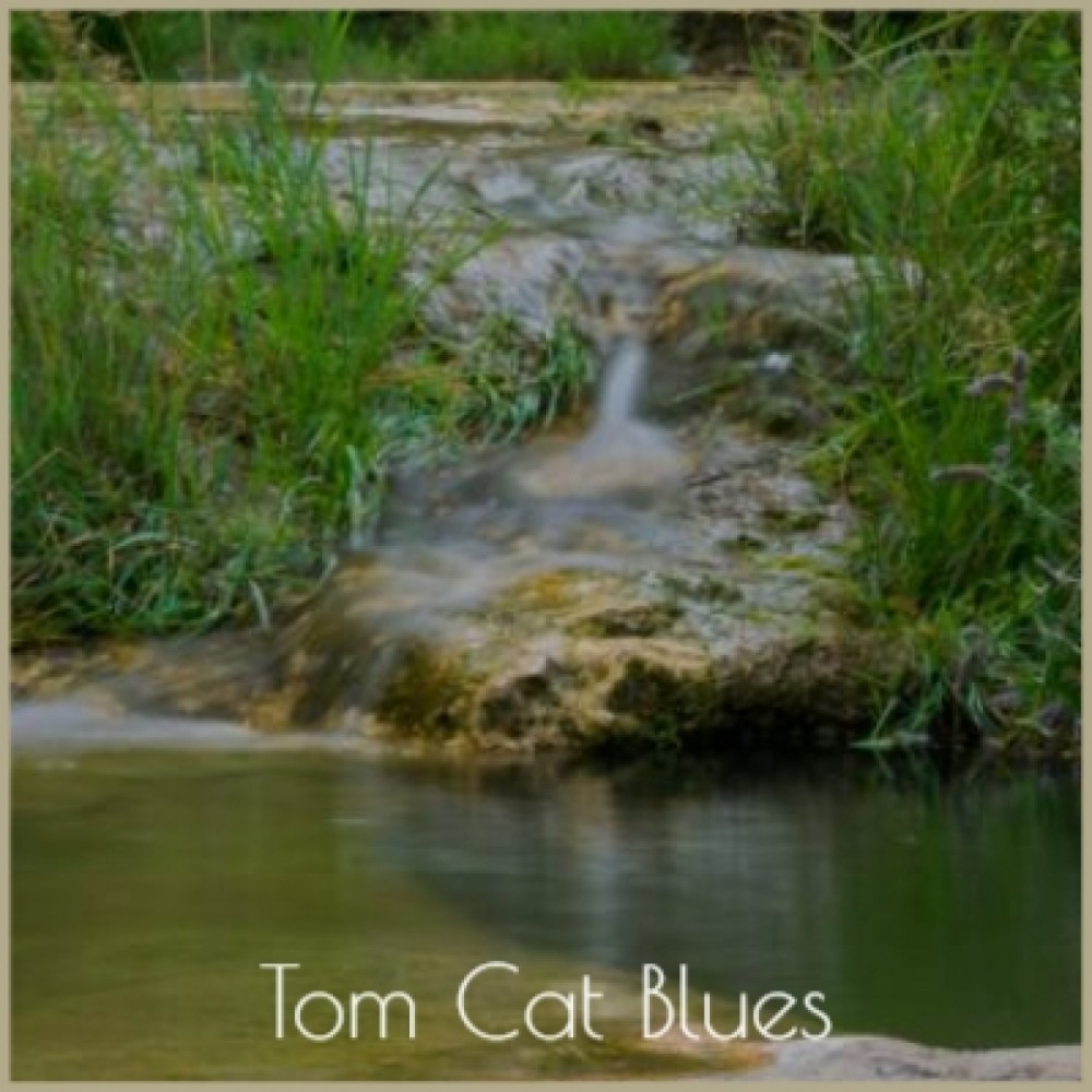 Tom Cat Blues