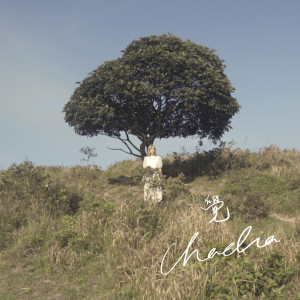 Album 觉 from Chaelia Wong