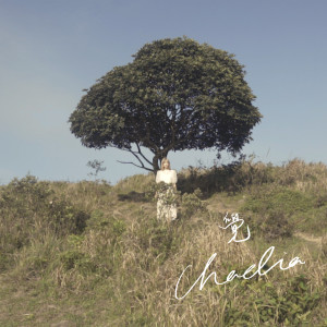 Listen to 觉 song with lyrics from Chaelia Wong