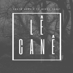 Listen to Lê Canê song with lyrics from Engin Cengiz
