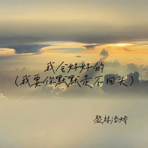 Album 我会好好的(我要你默默走不回头) from 黎林添娇