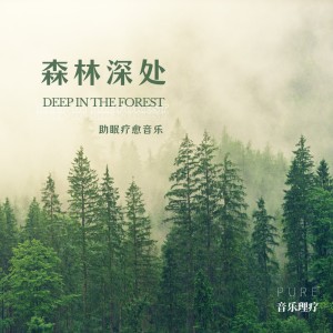 收聽Pure音樂理療的霧氣森林Misty Forest (完整版)歌詞歌曲