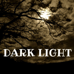 Listen to DARK LIGHT (VIP Mix) song with lyrics from Woeny356